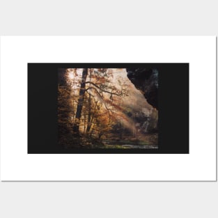 Sun Rays in Bohemian Switzerland Hrensko #8 Posters and Art